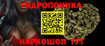 прущие крисы Анапа